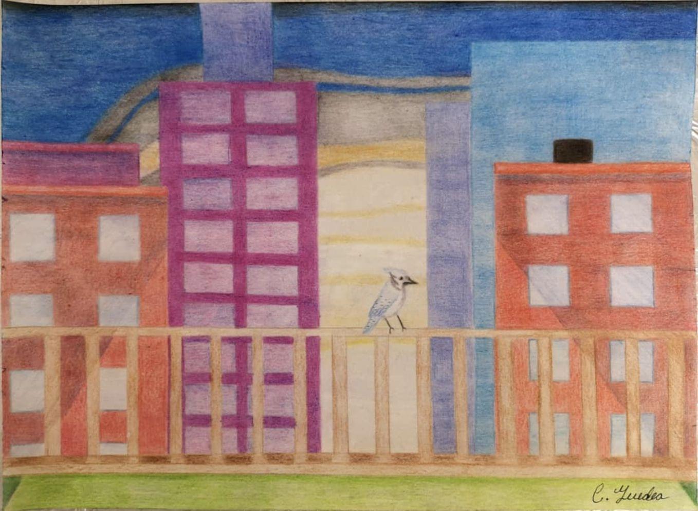 Ave perdida en la ciudad